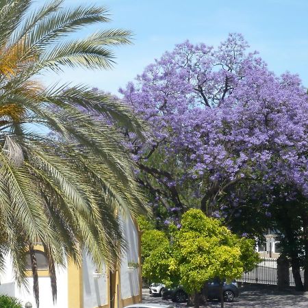 Real Escuela Home Jerez de la Frontera Extérieur photo