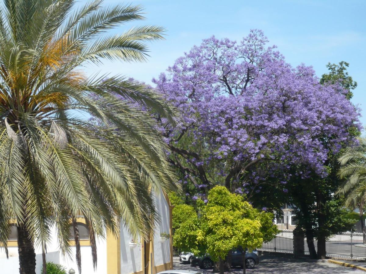 Real Escuela Home Jerez de la Frontera Extérieur photo